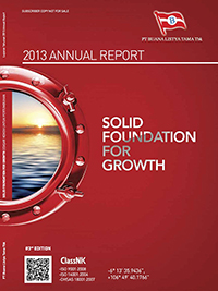 SOLID FOUNFATION FOR GROWTH (2013)